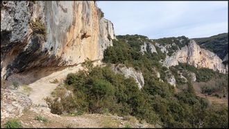 Falaise de la grotte Chauvet